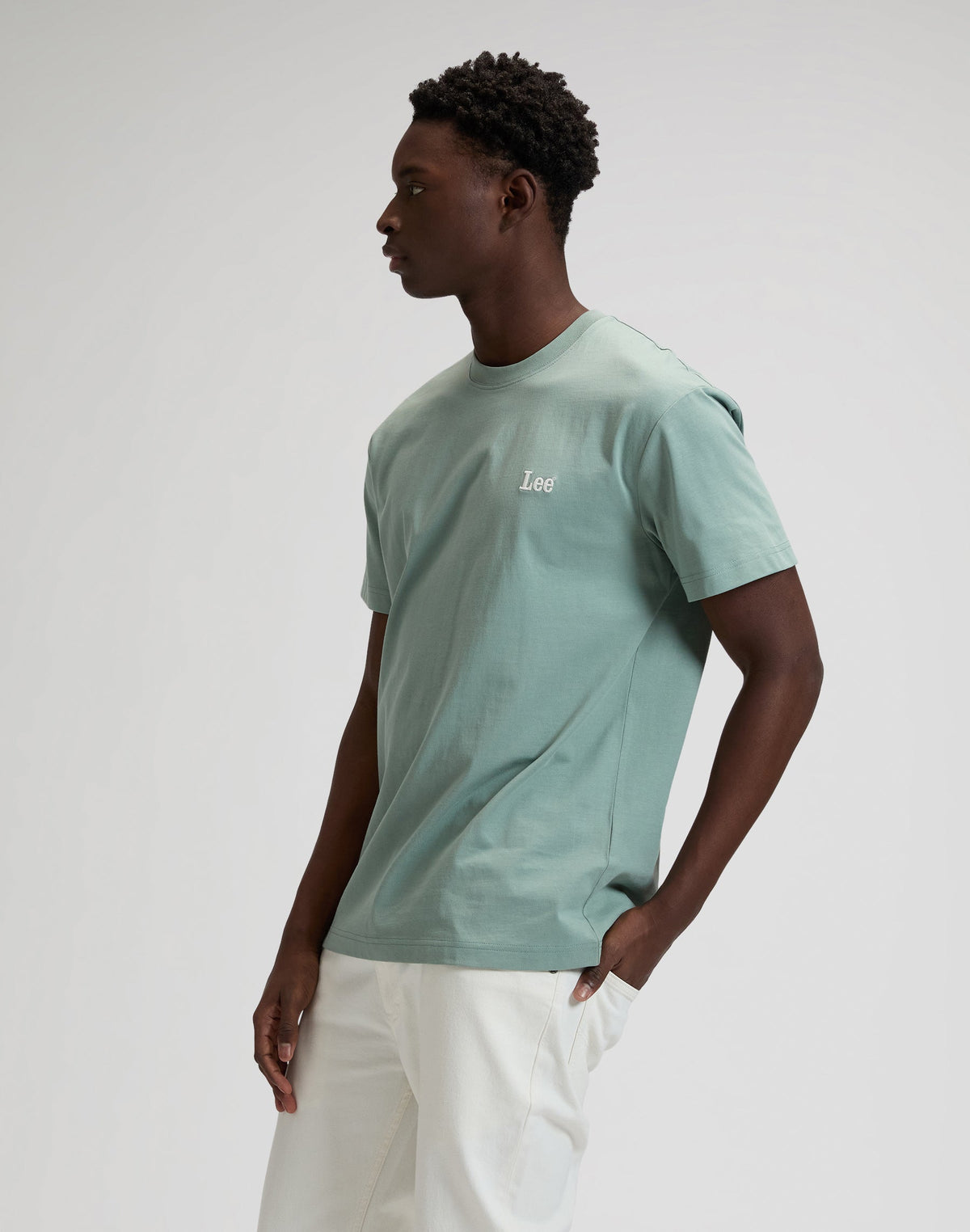 Ss Small Logo Tee in Desert Sage