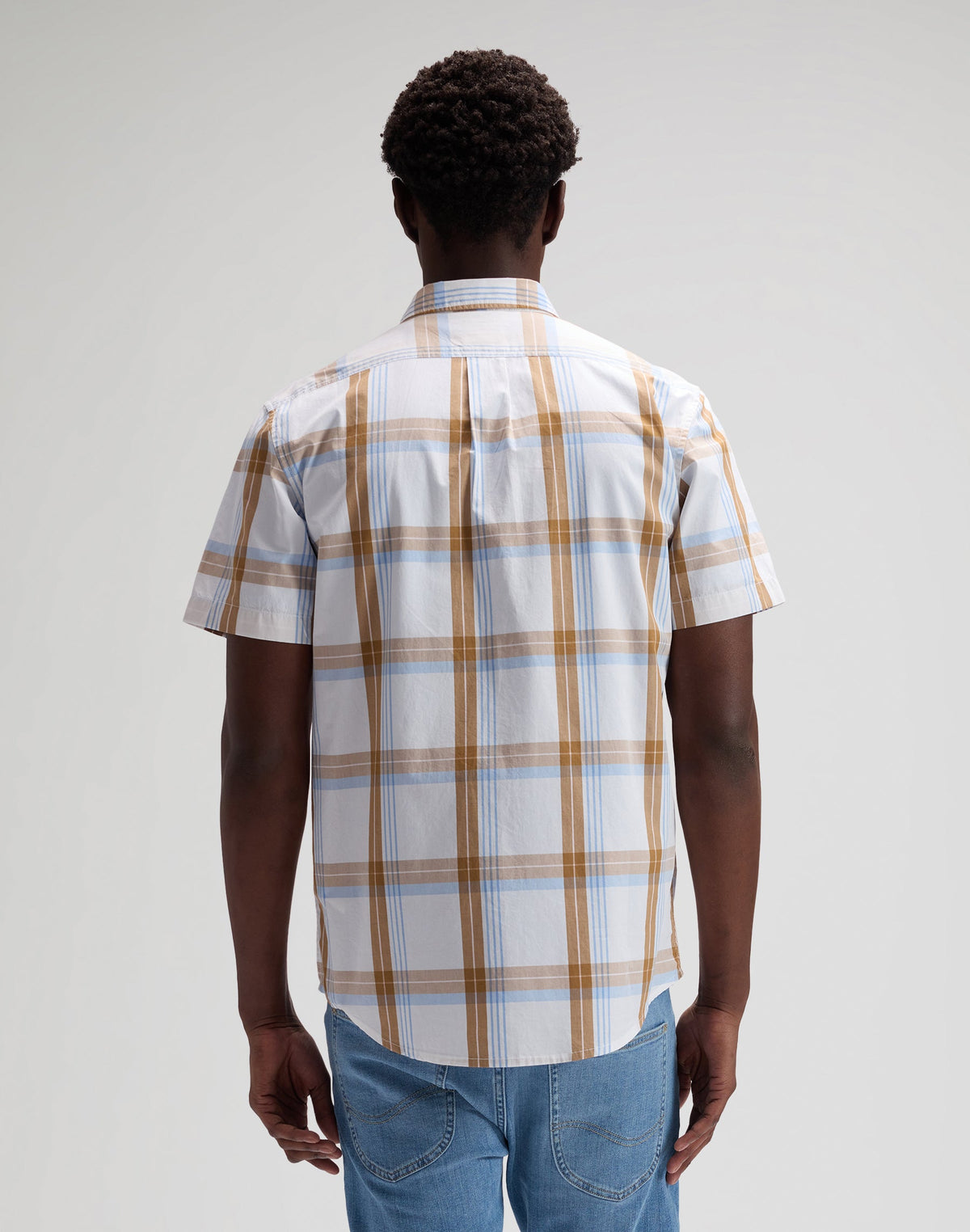 Lee Button Down Shortsleeve in Safari Halogen Plaid