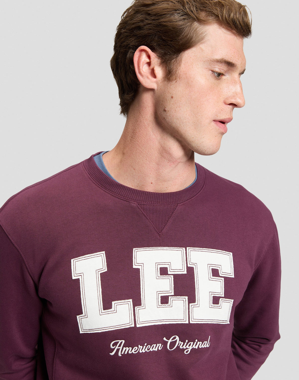 Sweatshirt Lee Original in Fig