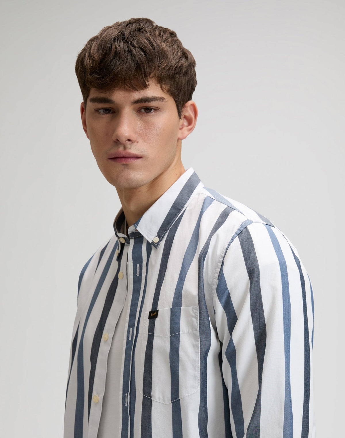 Lee Button Down in Tonal Rivet Navy Stripe - LEE Schweiz