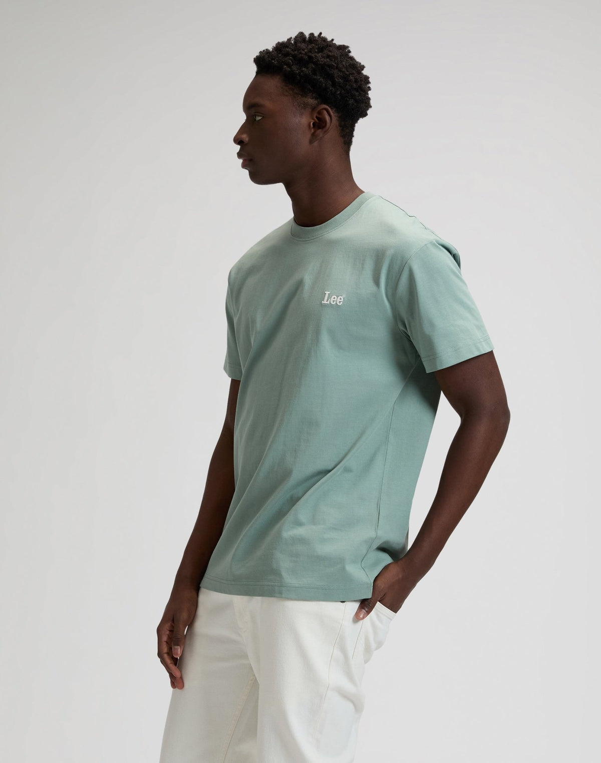 Ss Small Logo Tee in Desert Sage - LEE Schweiz