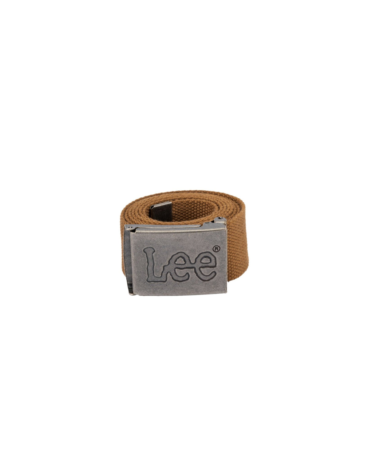Webbing Belt in Acorn - LEE Schweiz