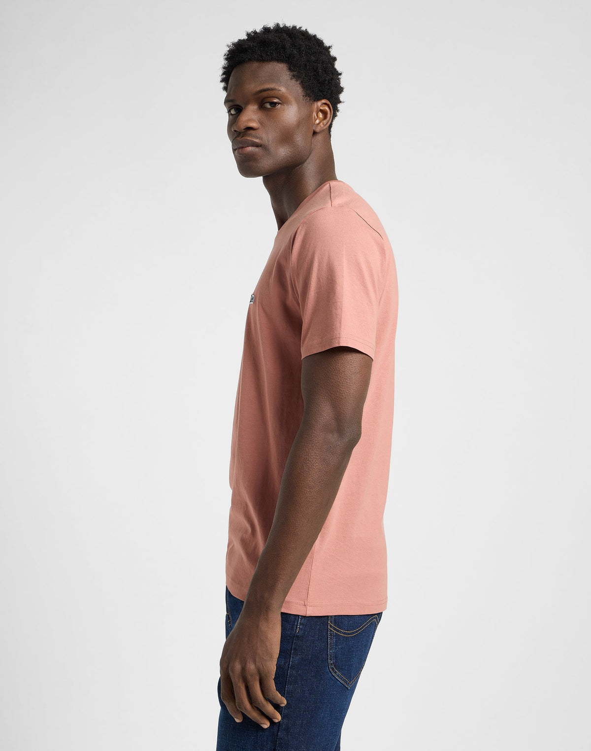 Ss Patch Logo Tee in Sepia