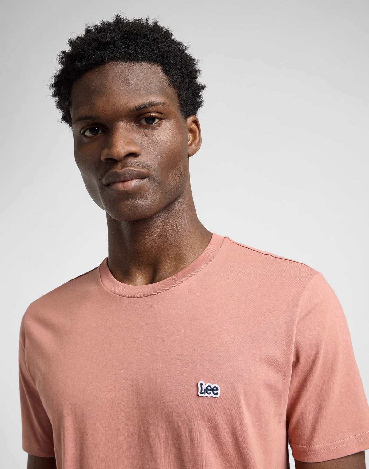 Ss Patch Logo Tee in Sepia