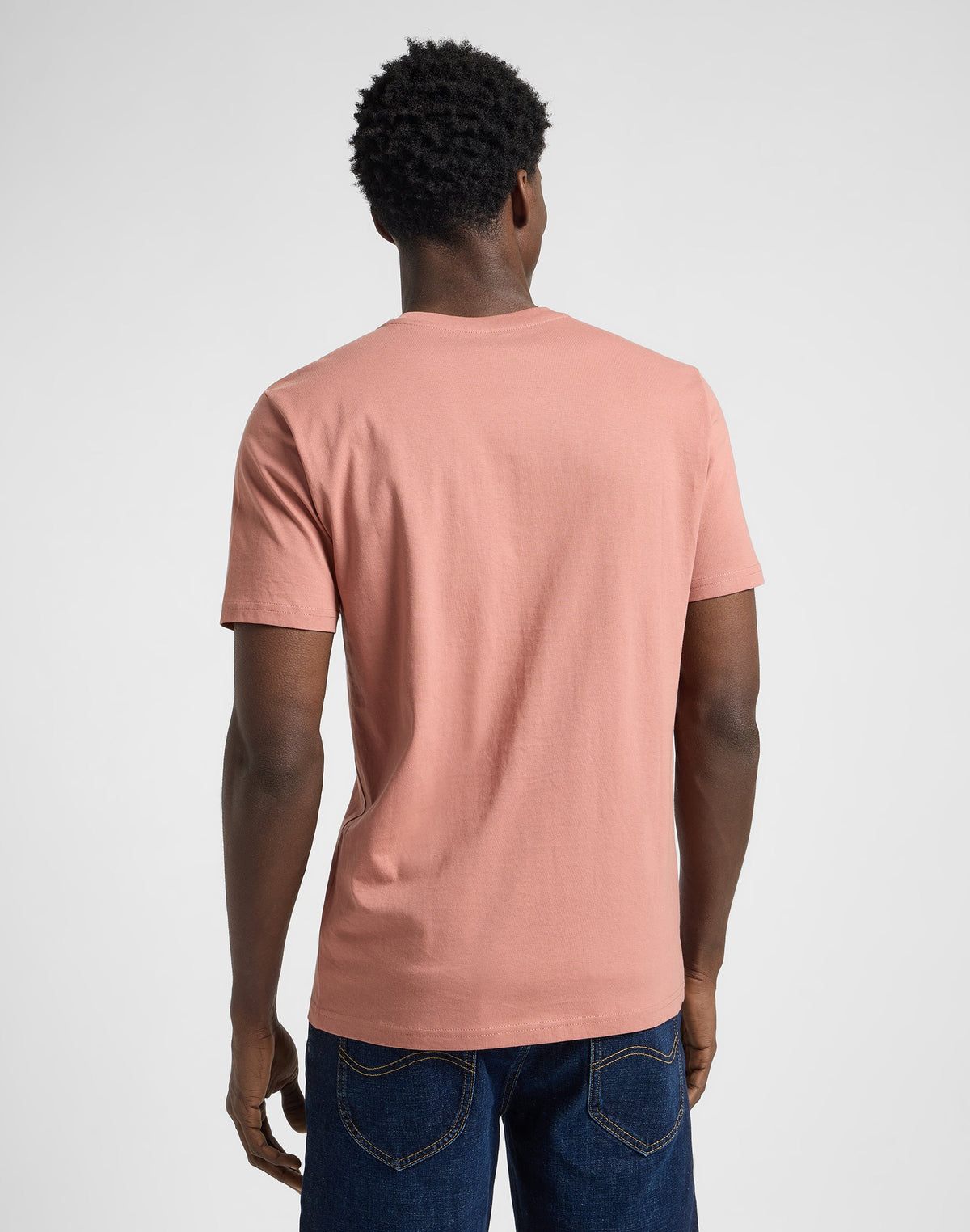 Ss Patch Logo Tee in Sepia