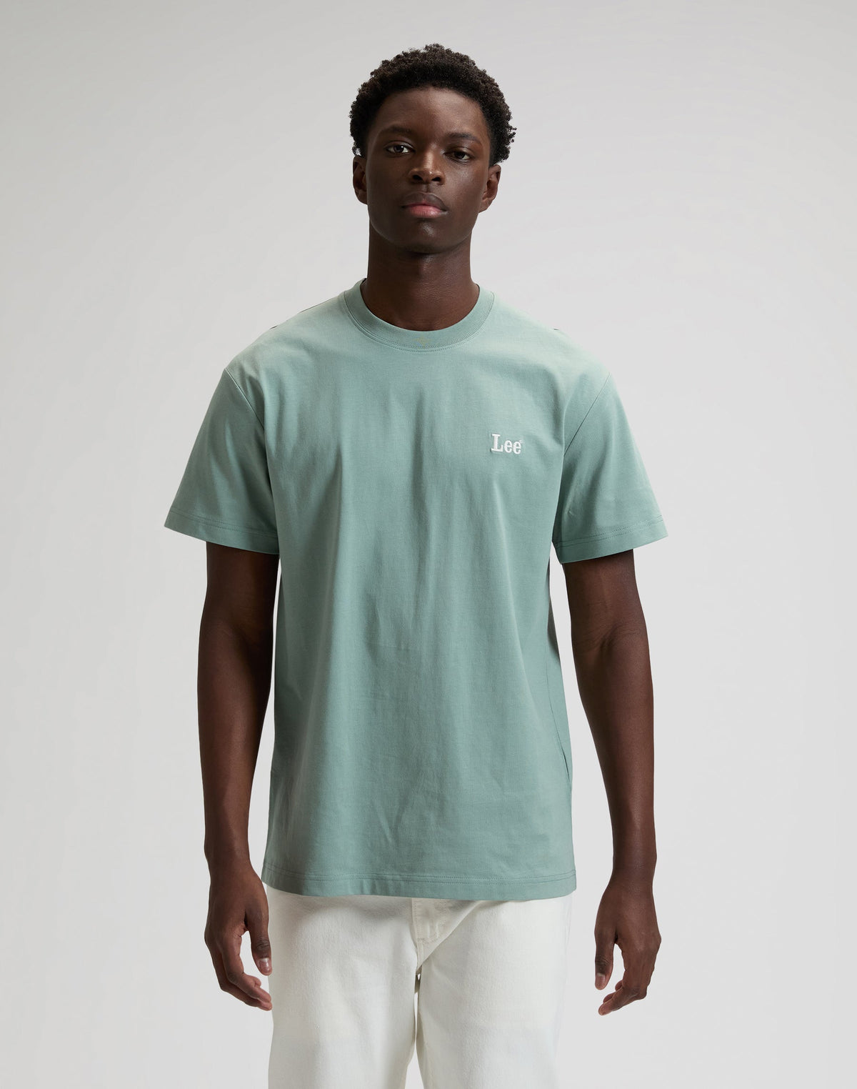 Ss Small Logo Tee in Desert Sage