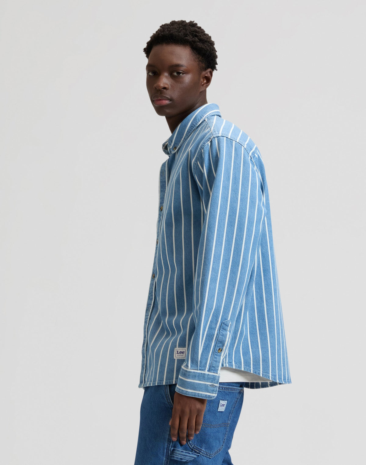 Workwear Button Down in Denim Stripe
