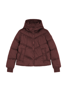 Winterjacke Short Hooded Puffer in Port