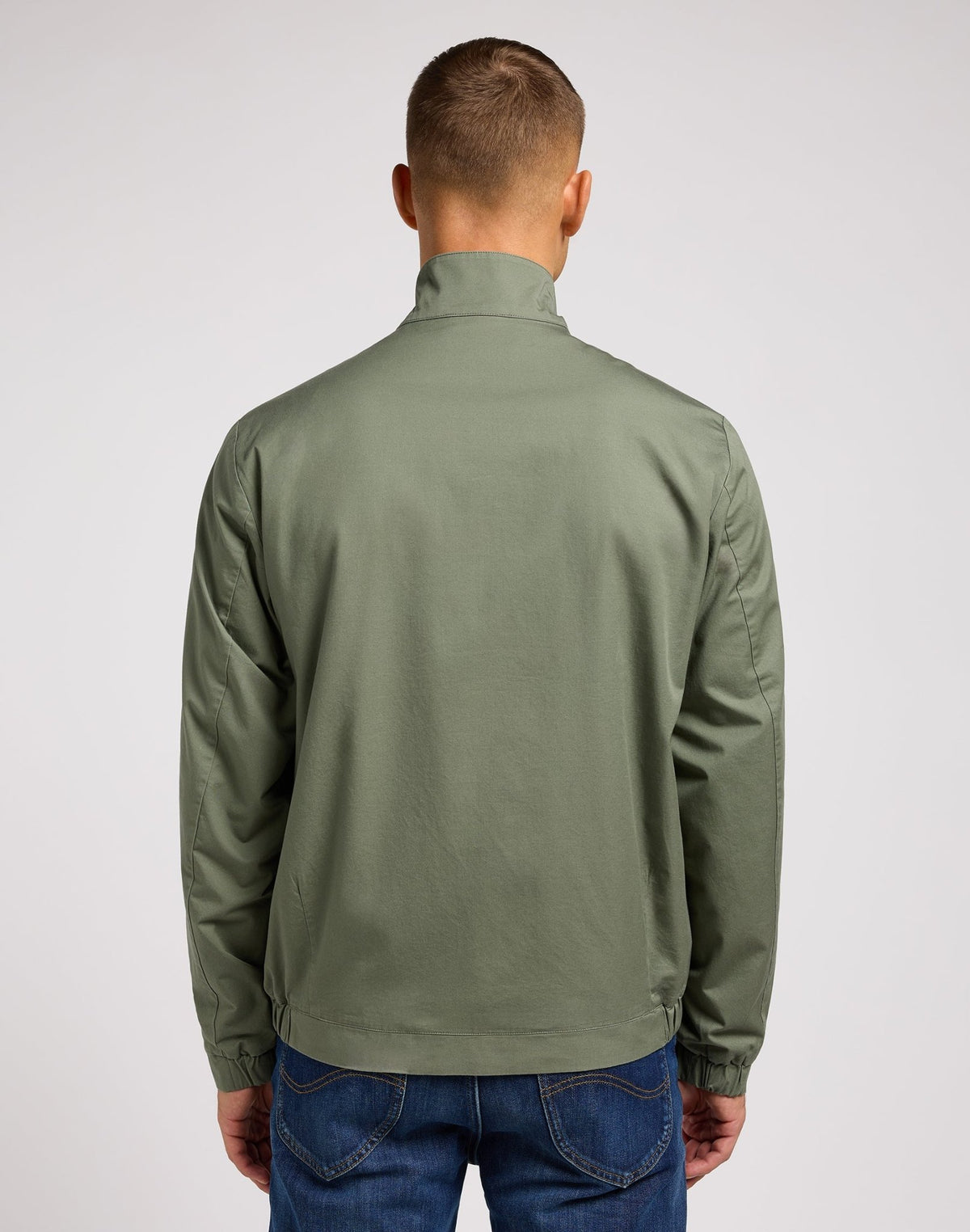 Harrington Jacket in Olive Grove - LEE Schweiz