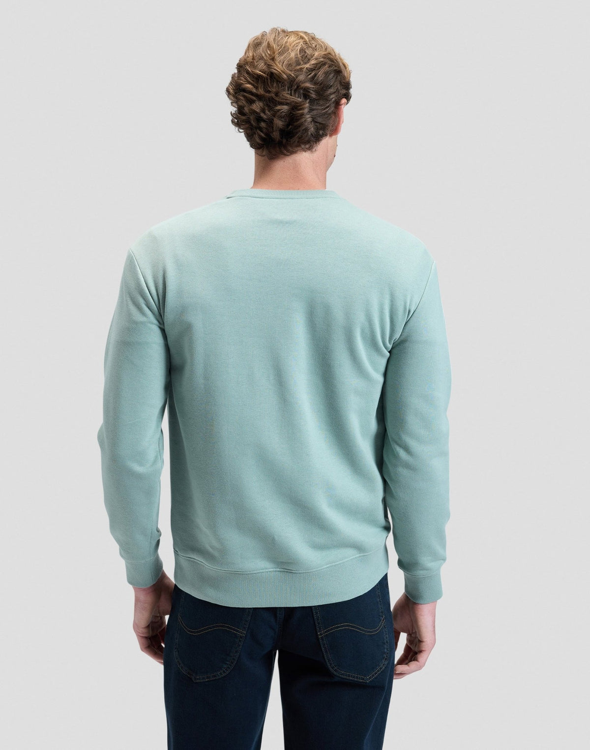 Patch Crew Sweatshirt in Desert Sage - LEE Schweiz