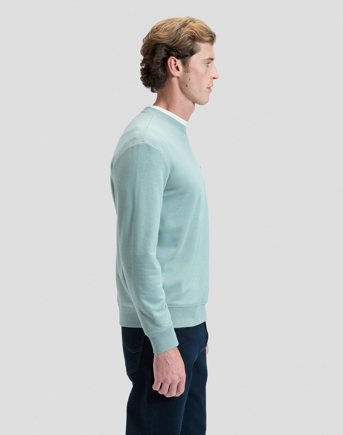 Patch Crew Sweatshirt in Desert Sage - LEE Schweiz