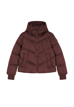 Winterjacke Short Hooded Puffer in Port - LEE Schweiz