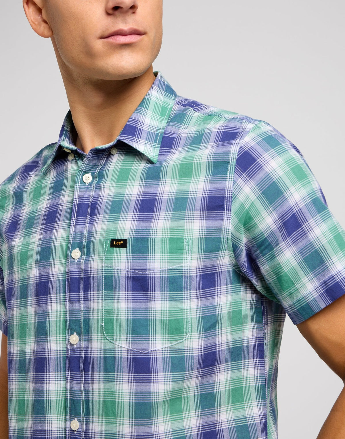 Lee Button Down Shirt in Dandy Green - LEE Schweiz